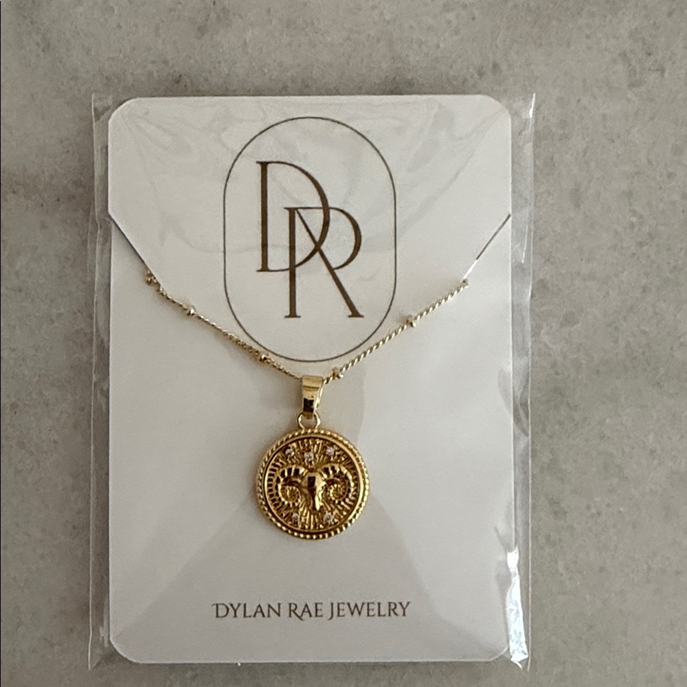 Dylan Rae Aries zodiac coin necklace